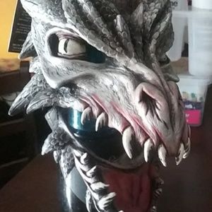 Dragon Face mask